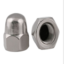 Stainless Steel High Quality Custom Cap Nut