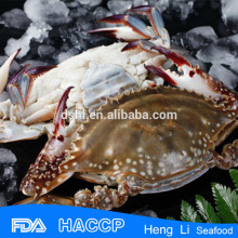 HL003 high quality cook whole frozen crab