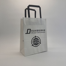 Biodegradable Carry Bags for Gift Wrapping