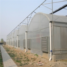 Multi-Span Greenhouses Plastic Film Greenhouse