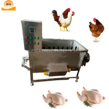 Small Chicken Scalding and Defeathering Machine - Rotary Chicken Scalder for Poultry