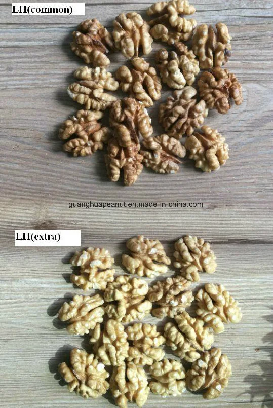 Nutrient-Rich Chinese New Crop Walnut Kernels