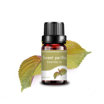 Grado terapéutico 10 ml de aceite de masaje de aceite de perilla dulce natural