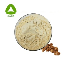 Sanchi / Panax Notoginseng Extrait de 80% de poudre Sanchinoside