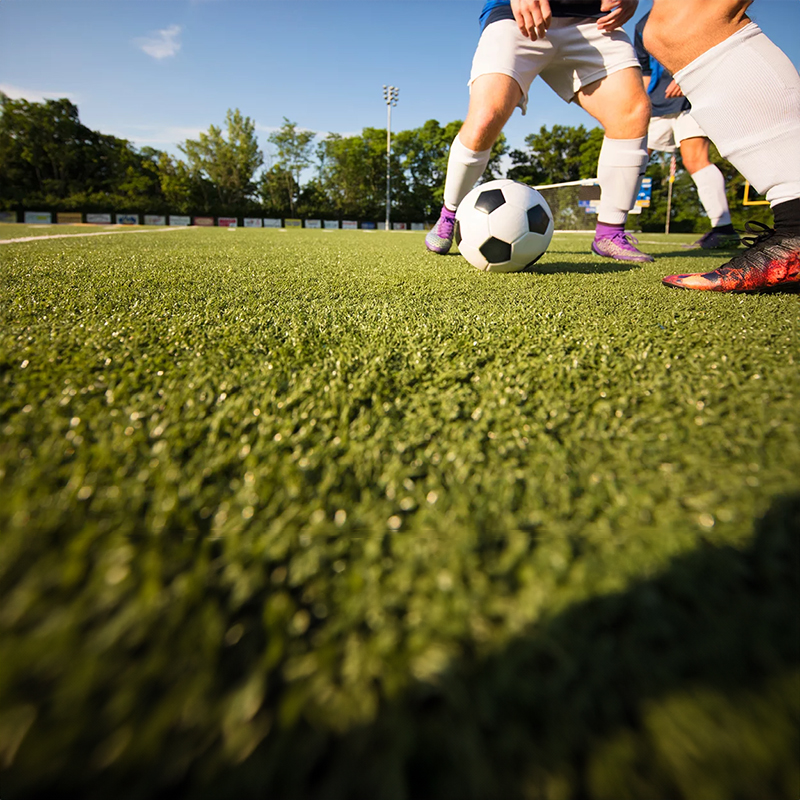 ملعب كرة القدم في ملعب كرة القدم العشب الاصطناعي