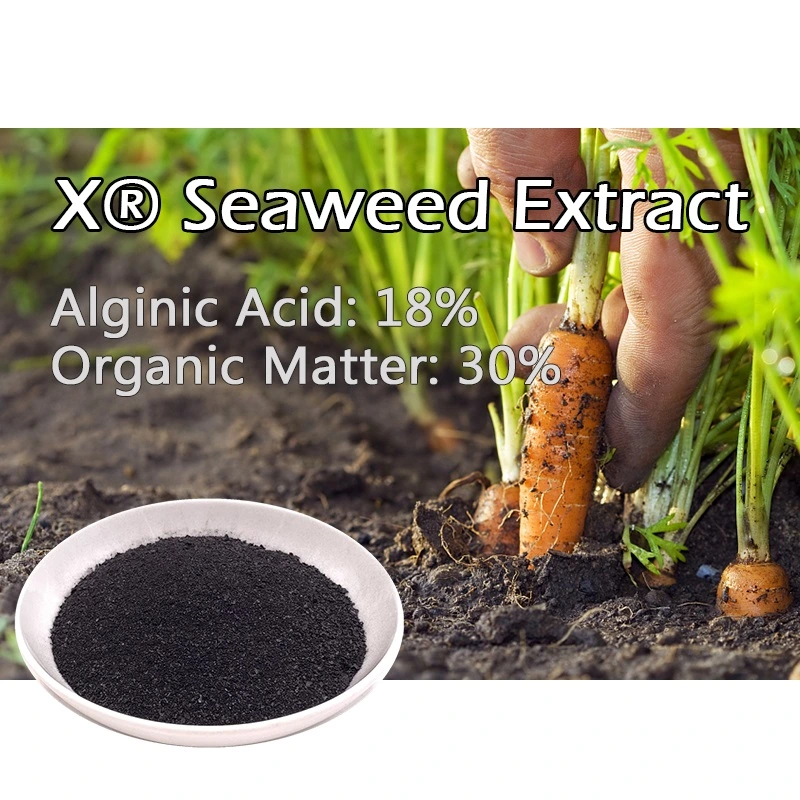 Refined Seaweed Extract Natural Fertilier