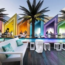 Wholesale Large Artificial Fiberglass Tropical Palm Trees for Outdoor Decor