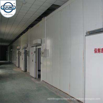 china reefer container controlled atmosphere cold room windlass anchor winch manufacturer and supplier