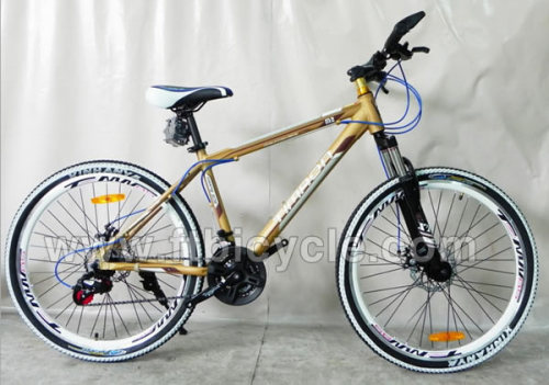 Popular Suspension Mountain Bike/MTB Bicycle (FT-SDC-021)