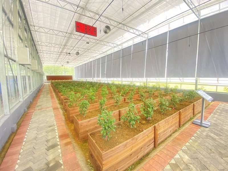 Modern Dağ Tarımını Güçlendirmek: Qingcheng Tarımın Akıllı Cam Sera Projesi Youyang'da Başlıyor Empowering Modern Mountain Agriculture: Qingcheng Agriculture’s Smart Glass Greenhouse Project Launches in Youyang