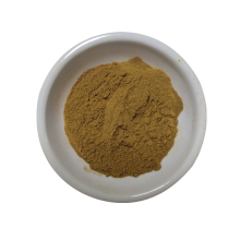 factory supply natural herb extract 1% ligustilide angelica extract