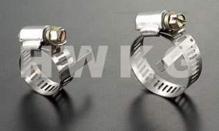 Worm Drive Hose Clamp?