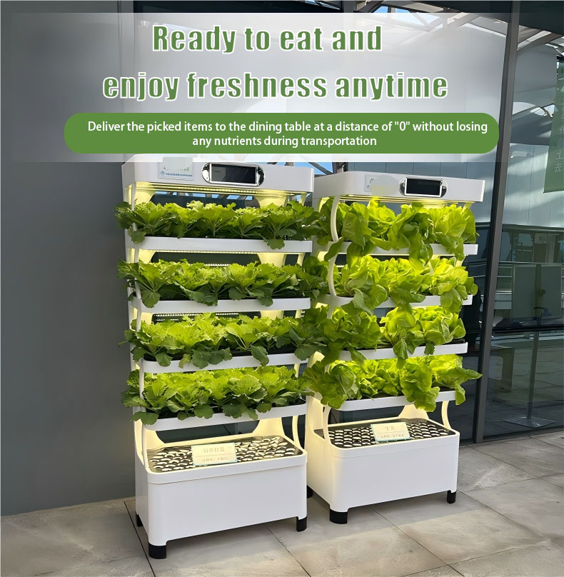 ماكينة زراعة الخضروات الذكية YD07GBC-B04-MJ