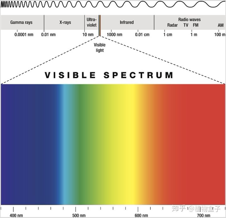 led grow light