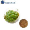 ISO Factory wholesale 10:1 Artichoke extract