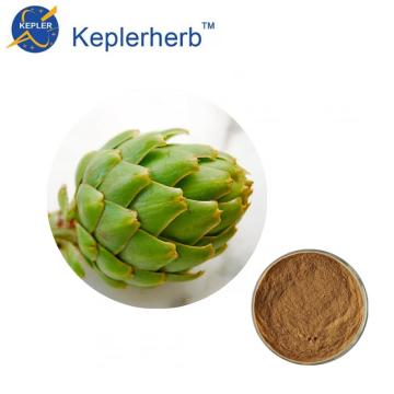 ISO Factory wholesale 10:1 Artichoke extract