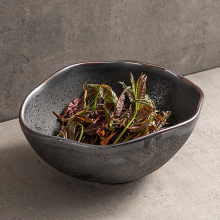 High Temperature Durable Porcelain Dinnerware - Black Retro Spot Salad Bowl