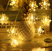 Best Outdoor Christmas Lights