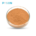 Extrait de champignon Reishi Polysaccharides 35% UV