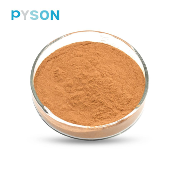 Extrait de champignon Reishi Polysaccharides 35% UV