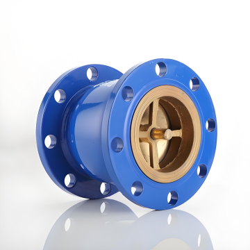 Noise Elimination Check Valve