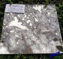 Multi-designs Colorful Decorative Antique Mirror Glass / China Antique Mirror, 3mm 4mm, 5mm 6mm, max 2440 x 3300mm