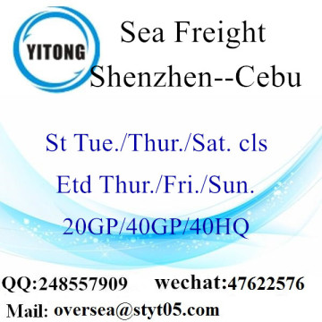 Shenzhen Port Sea Freight Shipping à Cebu