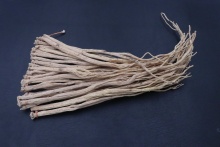 Codonopsis Root
