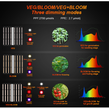 Großhändler Preis 1000W LED ZWEILELNLICHES VOLLSTÄNDIGE SPECTRUM