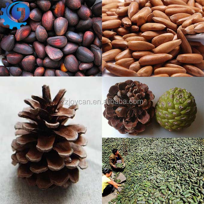 Commercial Pine nut thresher machine Pine cone shelling pine nut sheller