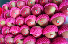 Qin Guan Apples Class I