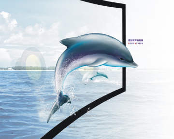 Projection Screen-Curved Projection Screens with 10cm Frame