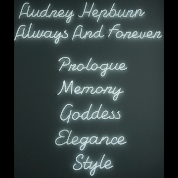 LED NEON LETTER ON THE WALL