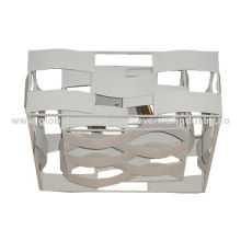 Model ceiling lightNew