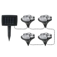Solar-Powered Waterproof Outdoor Dog Paw Light for Walkways