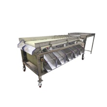 Korean Date Sorting Machine for Sale