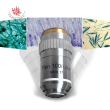 Professional Microscope Objective Lens 4X 10X 40X 100X Flat Field Infinity Achromatic