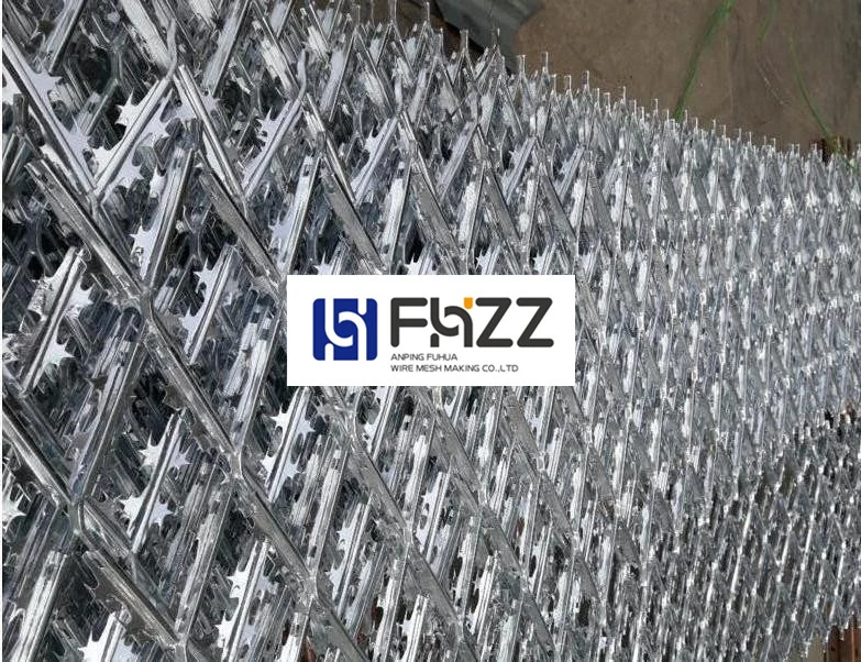 Galvanized Iron Wire Razor Barbed Mesh