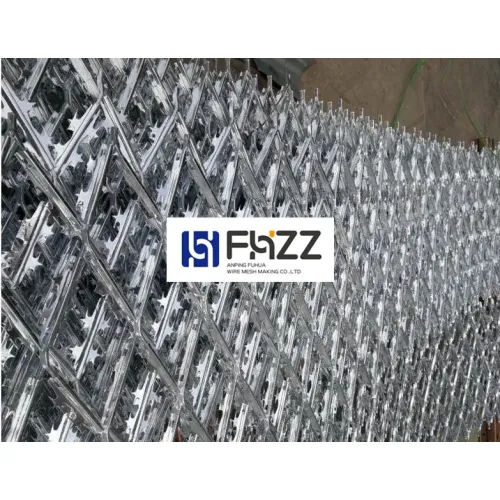 Galvanized Iron Wire Razor Barbed Mesh