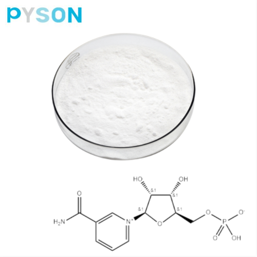 Poudre de mononucléotide BETA Nicotinamide