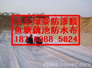 China swimming poor impermeable membranes