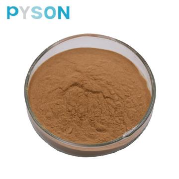 Shiitake-Pilzpulver Polysaccharide 50%