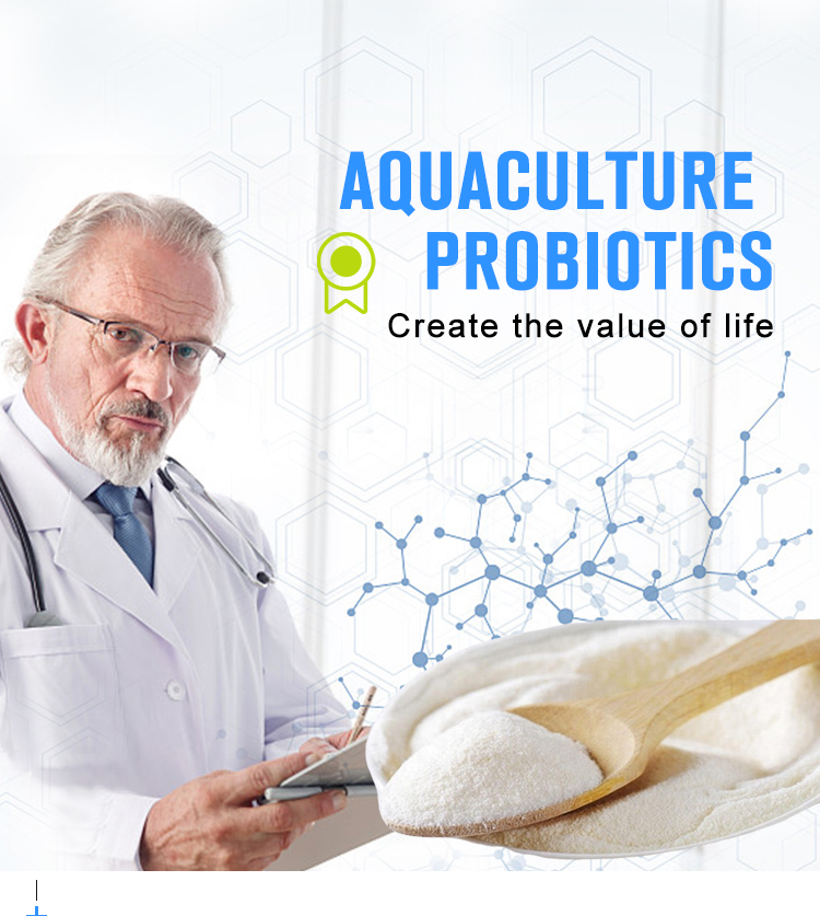 China supply promote health and growth low price aquaculture probiotics