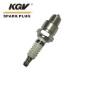 Small Engine Double Iridium Spark Plug D-CR6HIX.