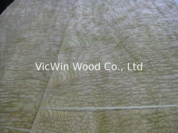 Sliced Cut Natural Tamo Burl Wood Veneer Sheet