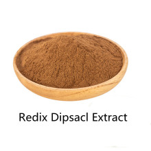 Buy online ingredients Redix Dipsacl Extract Powder