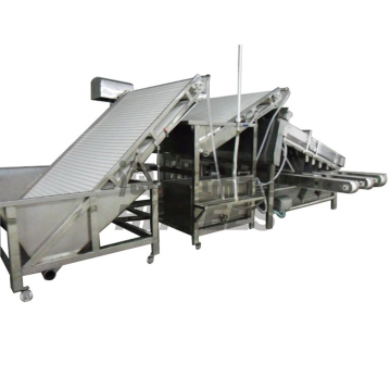 Industrial Shrimp Sorting and Lobster Grading Machines