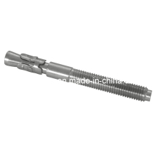 Ss316 1.4401 Chemical Anchor Bot