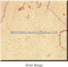 Imported beige marble Shell Beige