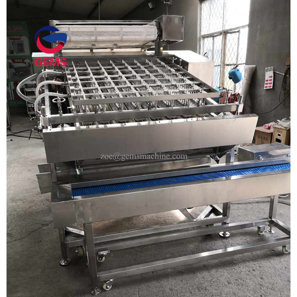 Shrimp Processing Machine Shrimp Peeling Peeler Machines